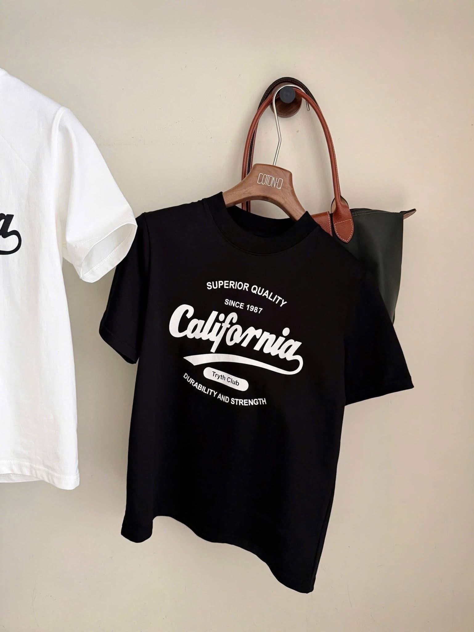 HD Shirt